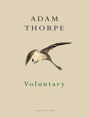 cover image of Voluntary